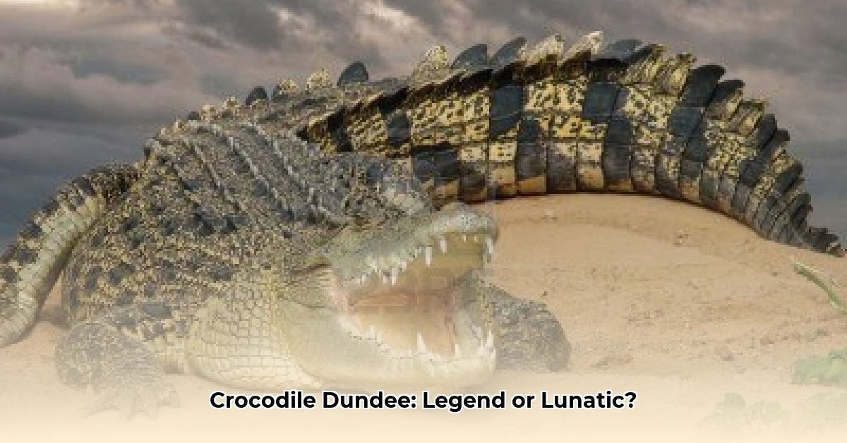 crocodile-dundee